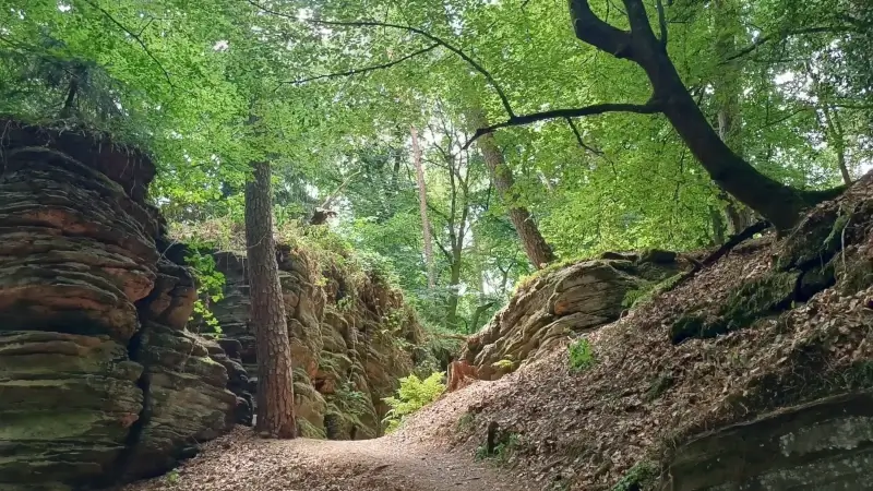 FOTO: Grüne-Hölle wandeling
