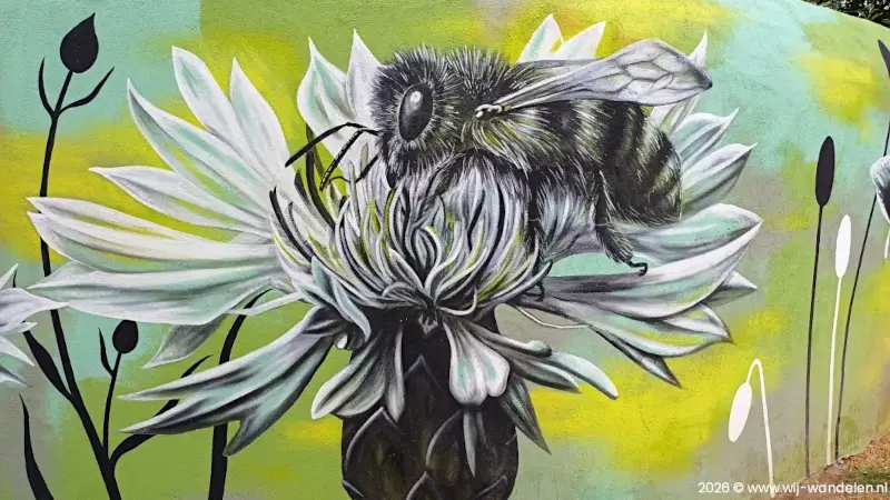 FOTO: Street Art wandeling in Ettelbruck